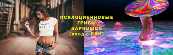 первитин Коряжма