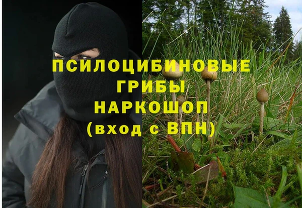 кокаин Козловка