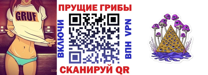 Галлюциногенные грибы MAGIC MUSHROOMS  как найти закладки  Краснознаменск 